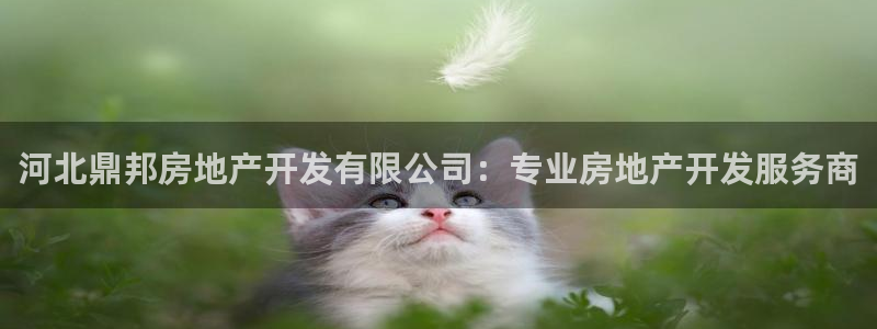 万向娱乐网址是什么