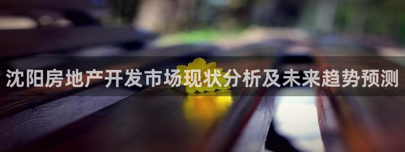 万向娱乐挂机软件