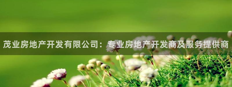 万向娱乐官网网址大全