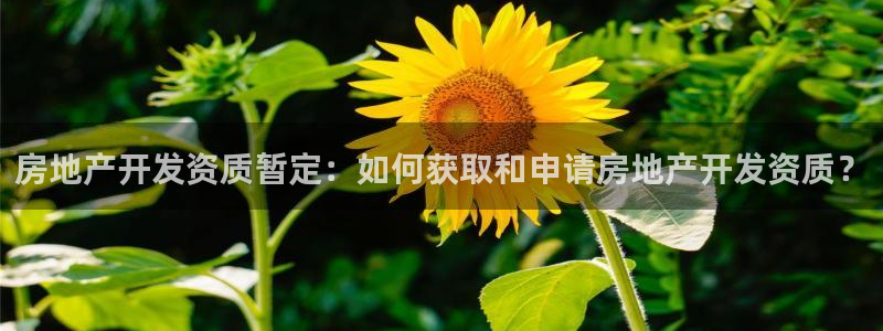 万向娱乐官网下载安装手机版