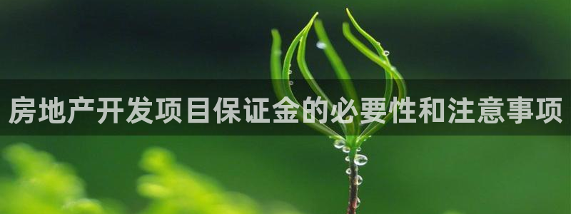万向娱乐app下载官网