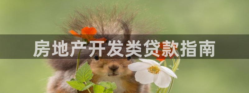 万向娱乐的494o3 主管