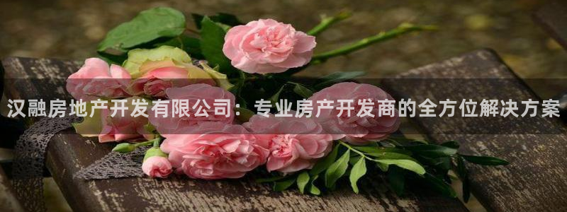 万象游戏代理