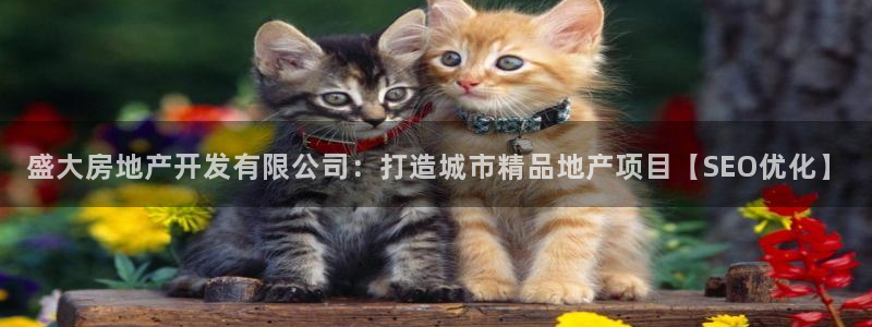 万向娱乐注册登录不了怎么回事