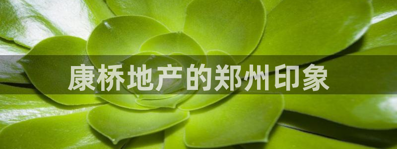万向娱乐公司官网电话