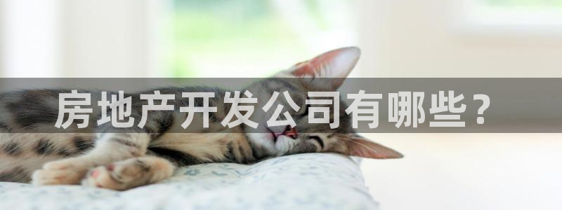 万向娱乐注册资金多少