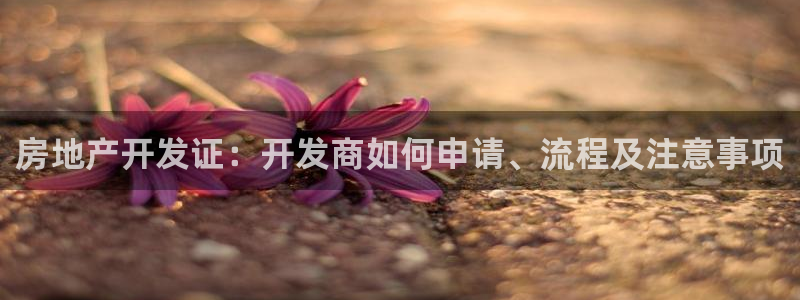 万象游戏代理
