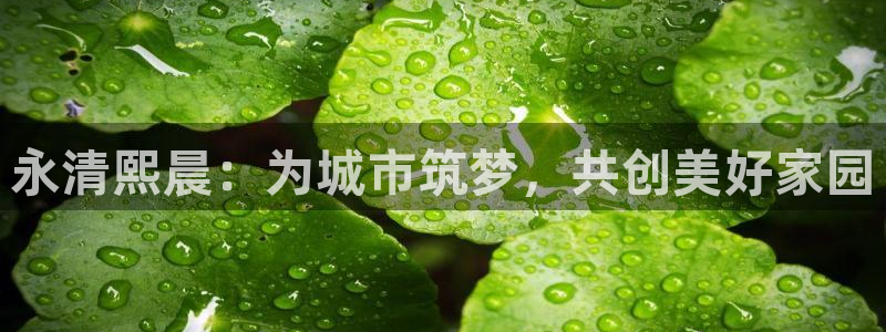 万向娱乐官网下载安装苹果