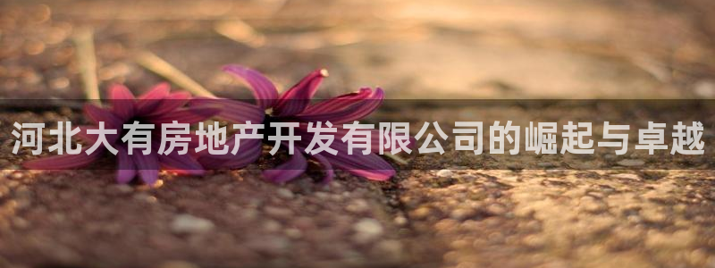 万向娱乐公司官网电话