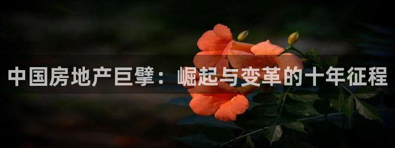 万向娱乐官网首页登录