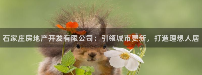 万向娱乐app