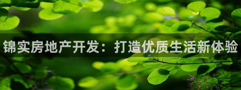 万向娱乐挂机软件