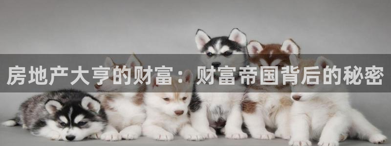 万向娱乐注册开户