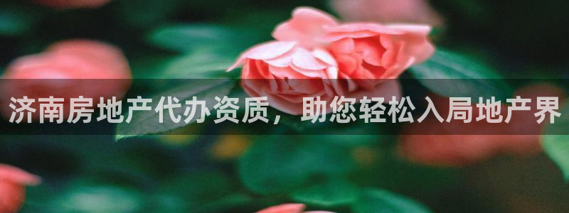 万向娱乐的494o3 主管