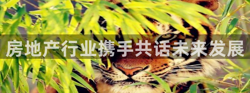 万向娱乐登陆