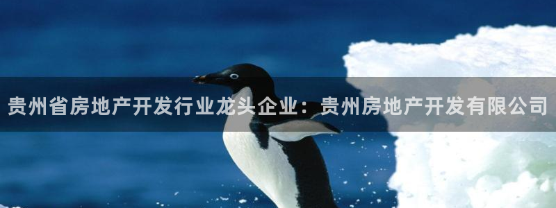 万向娱乐注册资金多少钱