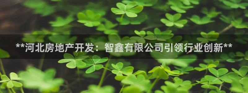 万向娱乐平台代理
