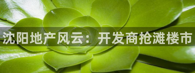万向娱乐注册开户要多久