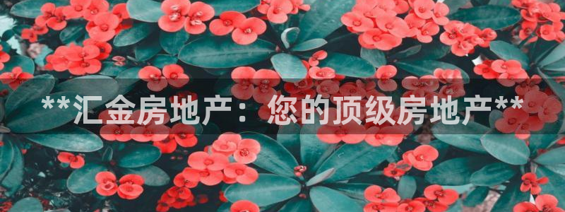 万向娱乐平台代理怎么样