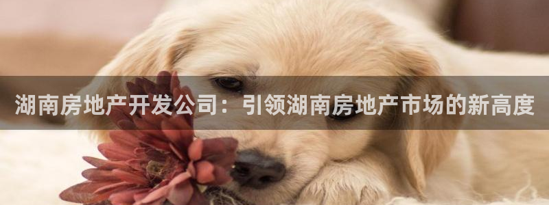 万向娱乐注册登录不了怎么办