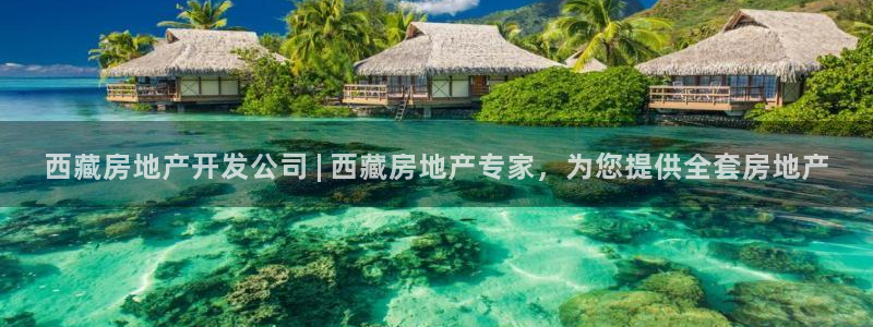 万向娱乐下载