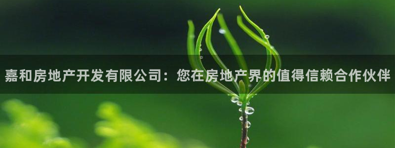 万向娱乐平台代理多少钱一个月