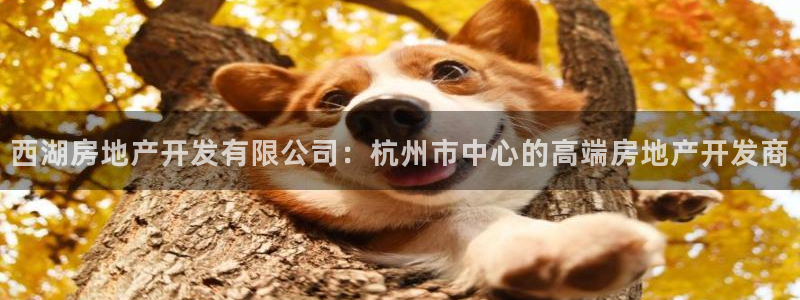 万向娱乐注册资金多少亿