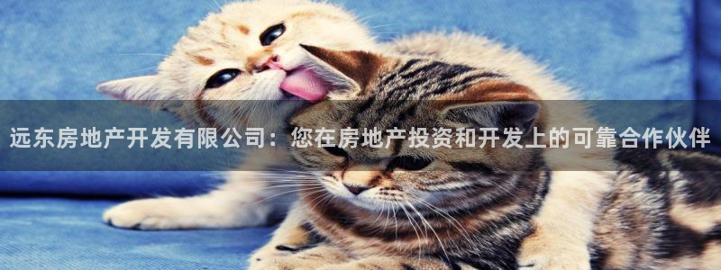 万向娱乐app