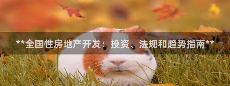 万向娱乐app下载