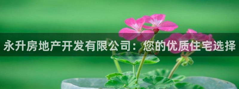 万向娱乐官网下载安装手机版