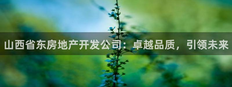 万向娱乐灯333OO