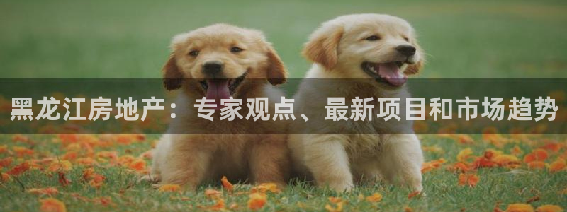 万向娱乐怎么样