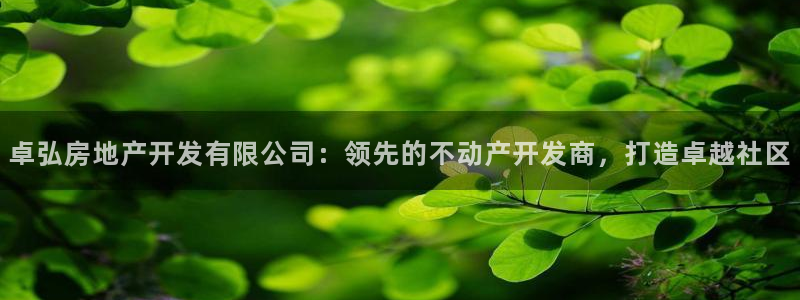 万向娱乐平台代理怎么做赚钱