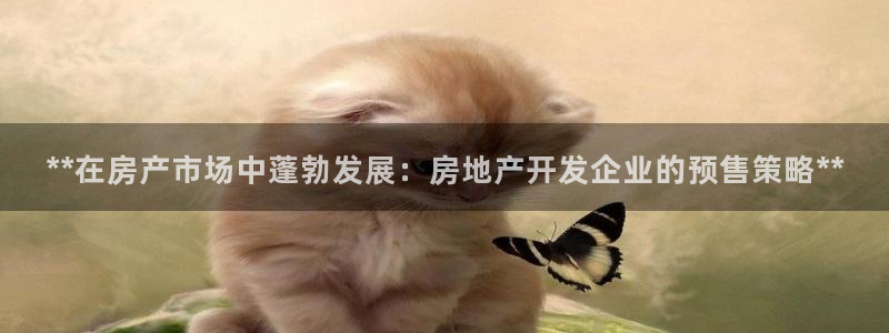 万向娱乐app下载官网