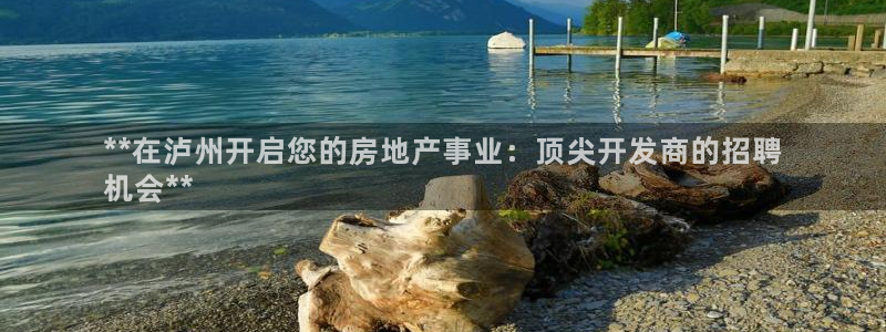 万向娱乐挂机