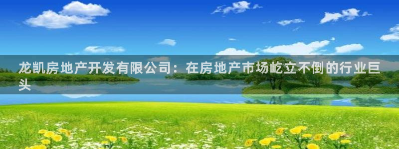 万向娱乐的494o3 主管