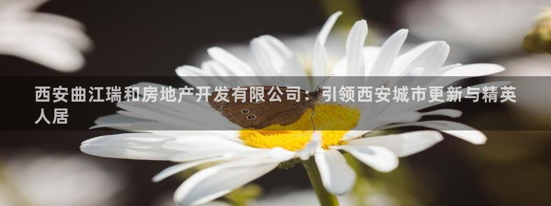 万向娱乐怎么样