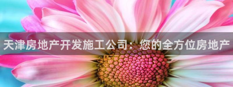 万向娱乐平台代理