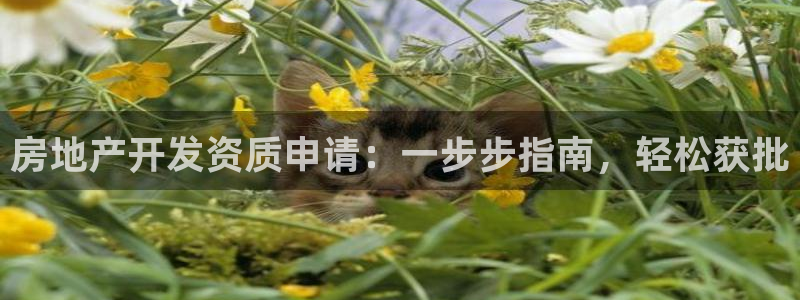 万向娱乐官网网址大全