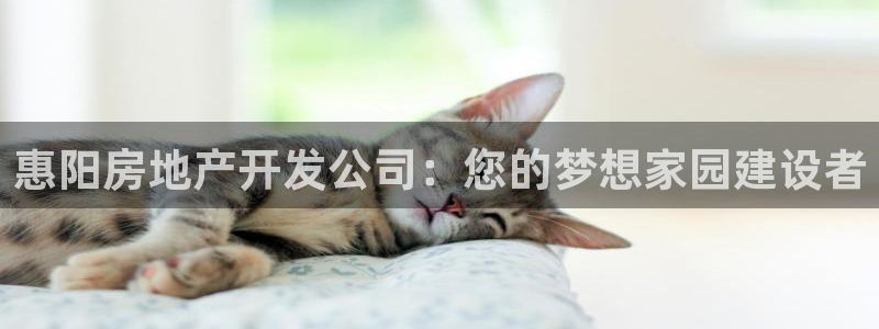 万向娱乐公司官网