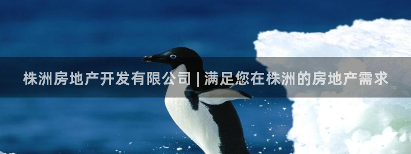 万向娱乐登陆官网入口