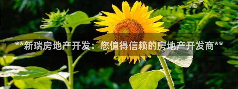 万向娱乐平台代理怎么样赚钱