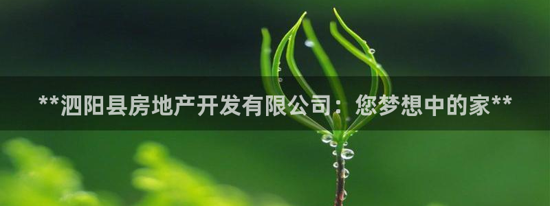 万向娱乐app下载官网