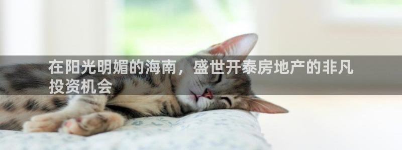 万向娱乐是野鸡台吗