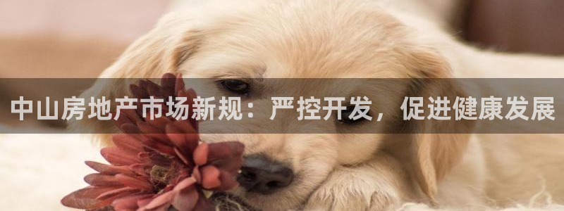 万向娱乐挂机