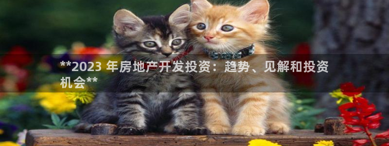 万向娱乐招商