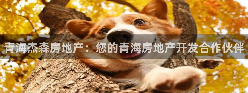 万向娱乐平台代理多少钱