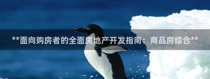 万向娱乐挂机