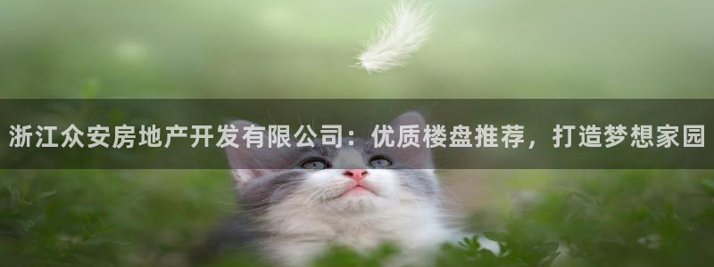 万向娱乐平台代理多少钱一个月