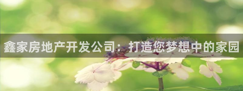 万向娱乐平台代理怎么做赚钱